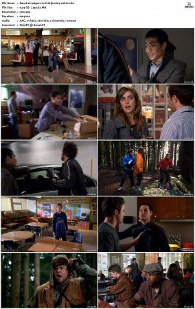 Reaper S01 iNTERNAL DVDRip X264-OSiRiS