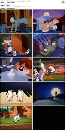 Animaniacs 1993 S01 DVDRip XviD-SAiNTS