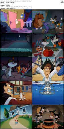 Animaniacs 1993 S01 DVDRip XviD-SAiNTS
