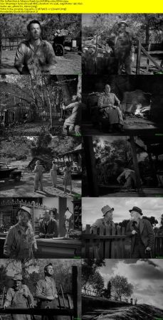 Tobacco Road 1941 WEBRip x264-ION10
