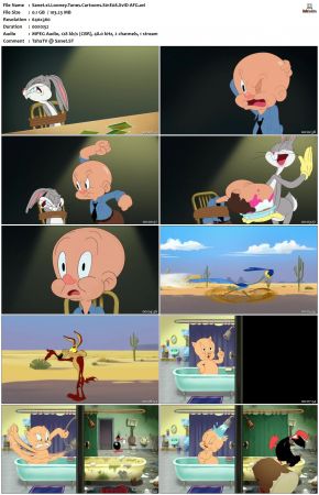Looney Tunes Cartoons S01 REPACK XviD-AFG