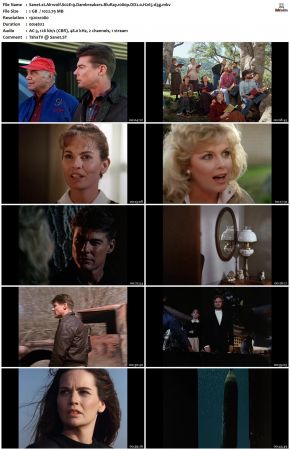Airwolf S02 1080p BluRay DD2.0 H265-d3g