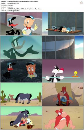 Looney Tunes Cartoons S01 REPACK XviD-AFG