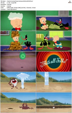 Looney Tunes Cartoons S01 REPACK XviD-AFG