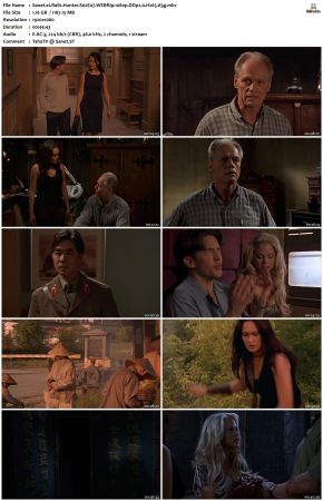 Relic Hunter S02 1080p WEBRip DDP2.0 H265-d3g