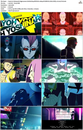 Cyberpunk Edgerunners S01 REPACK2 1080p NF WEB-DL DUAL DDP5 1 H264-FLUX