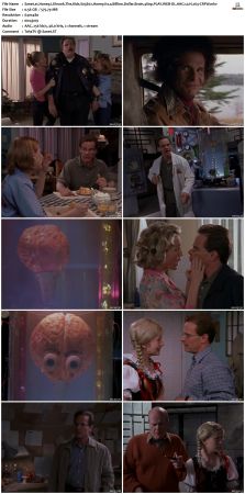 Honey I Shrunk The Kids S03 480p PLAY WEB-DL AAC2 0 H264-CRFW