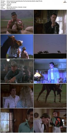 Quantum Leap S01 1080p WEB-DL AAC2.0 H264-TVV