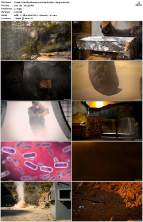 Deadly Dinosaurs S01 DVDRip x264-GHOULS