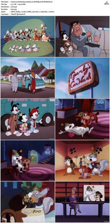 Animaniacs 1993 S05 DVDRip XviD-DEiMOS