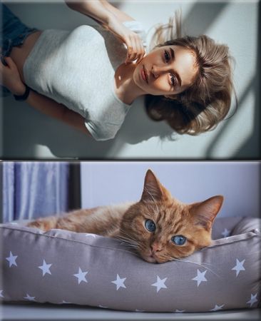 Classy Wallpapers (827)