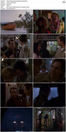 Quantum Leap S04 1080p WEB-DL DD2 0 H264-Mooi