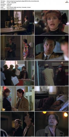 Quantum Leap S03 1080p WEB-DL DD20 H264-Mooi