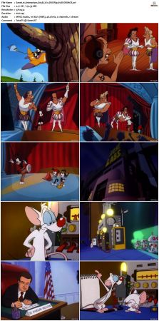 Animaniacs 1993 S05 DVDRip XviD-DEiMOS