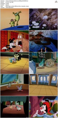 Animaniacs 1993 S01 DVDRip XviD-SAiNTS