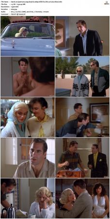 Quantum Leap S05 1080p WEB-DL DD2 0 H264-Mooi