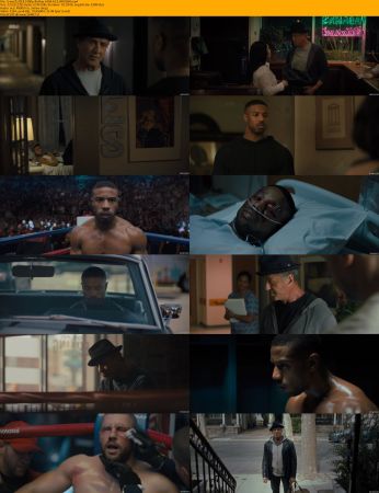 Rocky Collection 1080p BluRay H264 AC3-Will1869