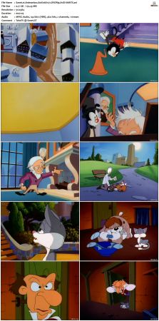 Animaniacs 1993 S01 DVDRip XviD-SAiNTS