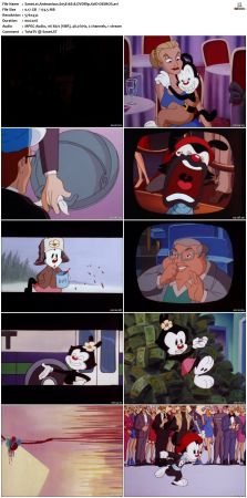 Animaniacs 1993 S05 DVDRip XviD-DEiMOS