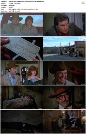 Hart To Hart S01 1080p WEBRip x265-RARBG