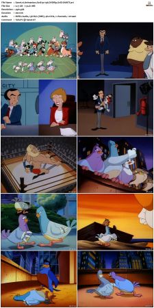 Animaniacs 1993 S01 DVDRip XviD-SAiNTS