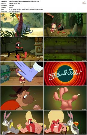 Looney Tunes Cartoons S01 REPACK XviD-AFG