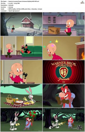 Looney Tunes Cartoons S03 XviD-AFG