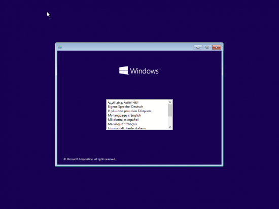 Windows 11 Enterprise Build 22000.978 (No TPM Required) Preactivated Multilingual