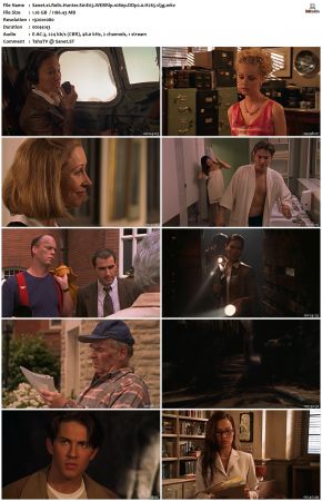 Relic Hunter S01 1080p WEBRip DDP2.0 H265-d3g