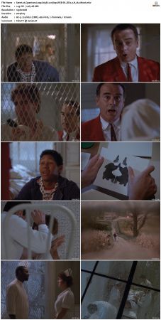 Quantum Leap S03 1080p WEB-DL DD20 H264-Mooi