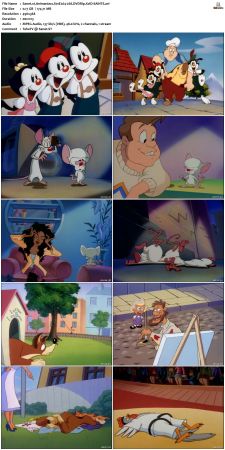 Animaniacs 1993 S01 DVDRip XviD-SAiNTS