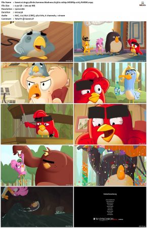 Angry Birds Summer Madness S03 1080p WEBRip x265-RARBG