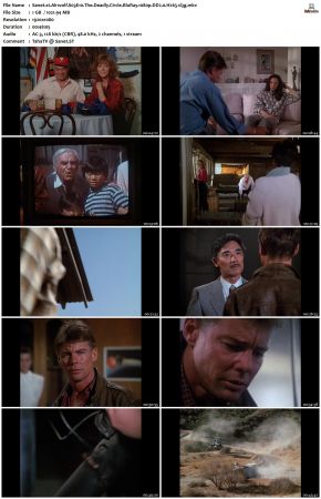 Airwolf S03 1080p BluRay DD2.0 H265-d3g