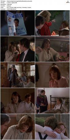 Quantum Leap S04 1080p WEB-DL DD2 0 H264-Mooi