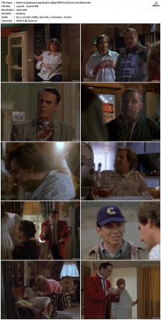 Quantum Leap S03 1080p WEB-DL DD20 H264-Mooi