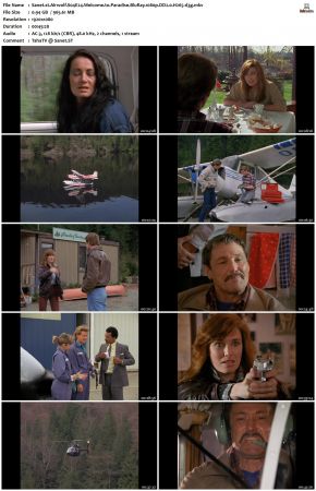 Airwolf S04 1080p BluRay DD2.0 H265-d3g