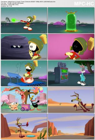 Looney Tunes Cartoons S03 1080p x265-MeGusta