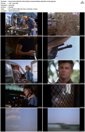 Airwolf S02 1080p BluRay DD2.0 H265-d3g