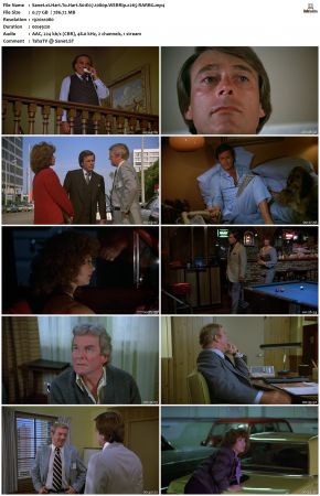 Hart To Hart S01 1080p WEBRip x265-RARBG