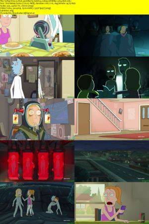 Rick and Morty S06E04 1080p WEBRip x264-BAE