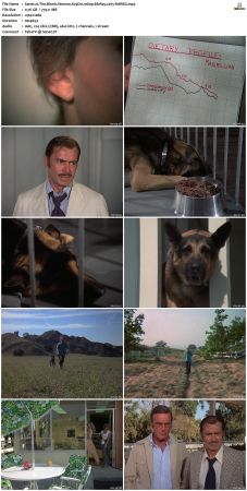 The Bionic Woman S03 1080p BluRay x265-RARBG