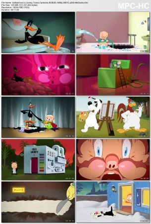 Looney Tunes Cartoons S03 1080p x265-MeGusta