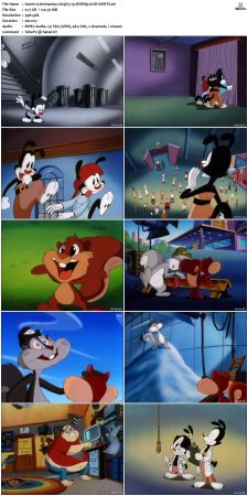 Animaniacs 1993 S03 DVDRip XviD-SAiNTS