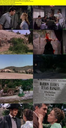 The Lawless Breed 1952 BDRip x264-OLDTiME