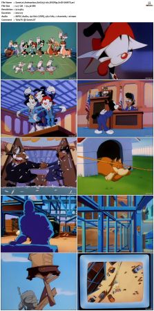 Animaniacs 1993 S01 DVDRip XviD-SAiNTS