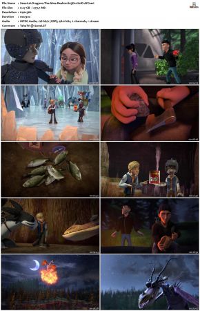 Dragons The Nine Realms S03 XviD-AFG