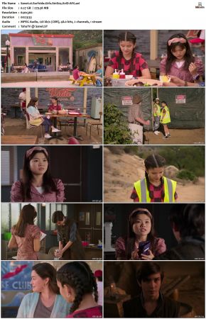 Surfside Girls S01 XviD-AFG
