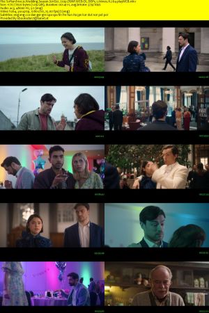 Wedding Season S01 720p DSNP WEB-DL DDP5.1 Atmos H264-playWEB