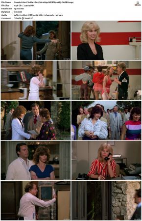 Hart To Hart S04 1080p WEBRip x265-RARBG