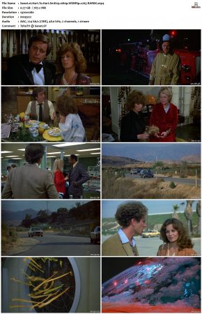 Hart To Hart S01 1080p WEBRip x265-RARBG